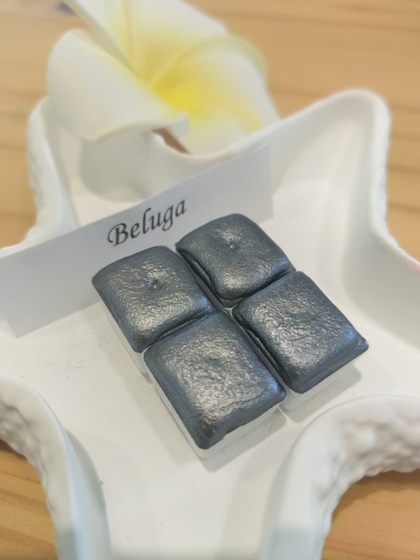 beluga 2 Beluga