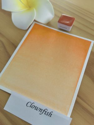 clownfish 1 Clownfish