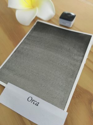 Orca