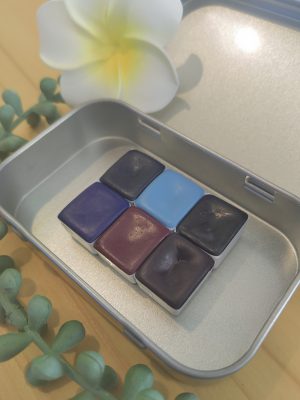 sea urchin set 1 Sea Urchin Set