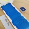 Blue Tang