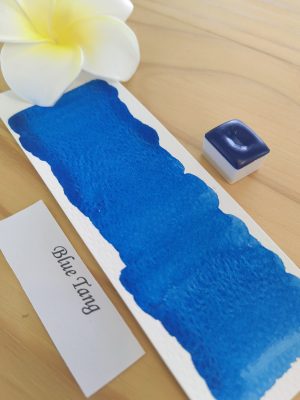 Blue tang 1 Blue Tang