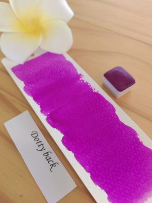 Dotty back 1 Dottyback