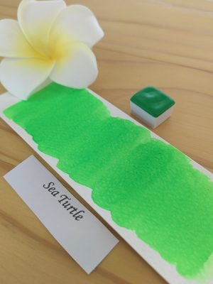 Sea turtle 1 Sea Turtle